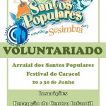 Cartaz.Voluntariado