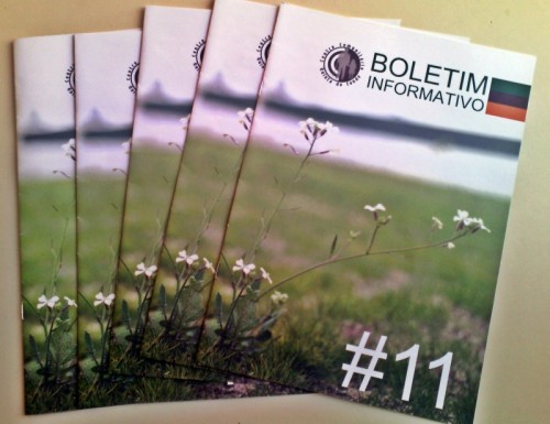 Boletim 11