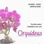 Tertúlia sobre Cuidados a ter com Orquídeas
